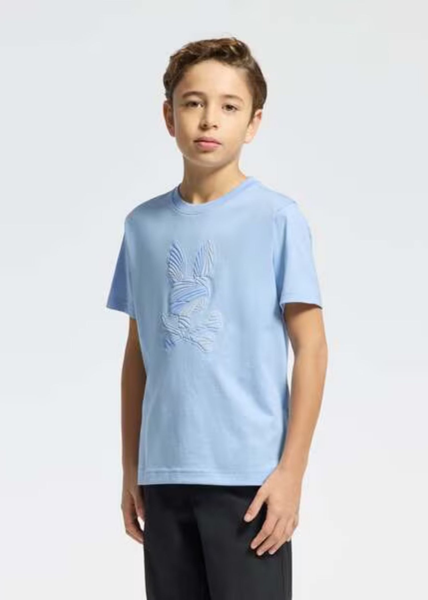 Camiseta Gráfica Baxter Algodón Azul Claro