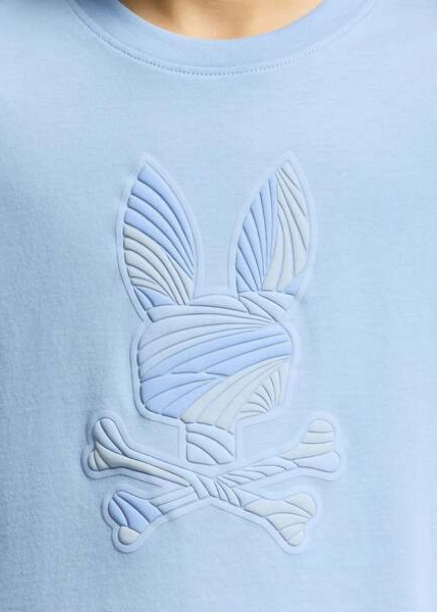 Camiseta Gráfica Baxter Algodón Azul Claro