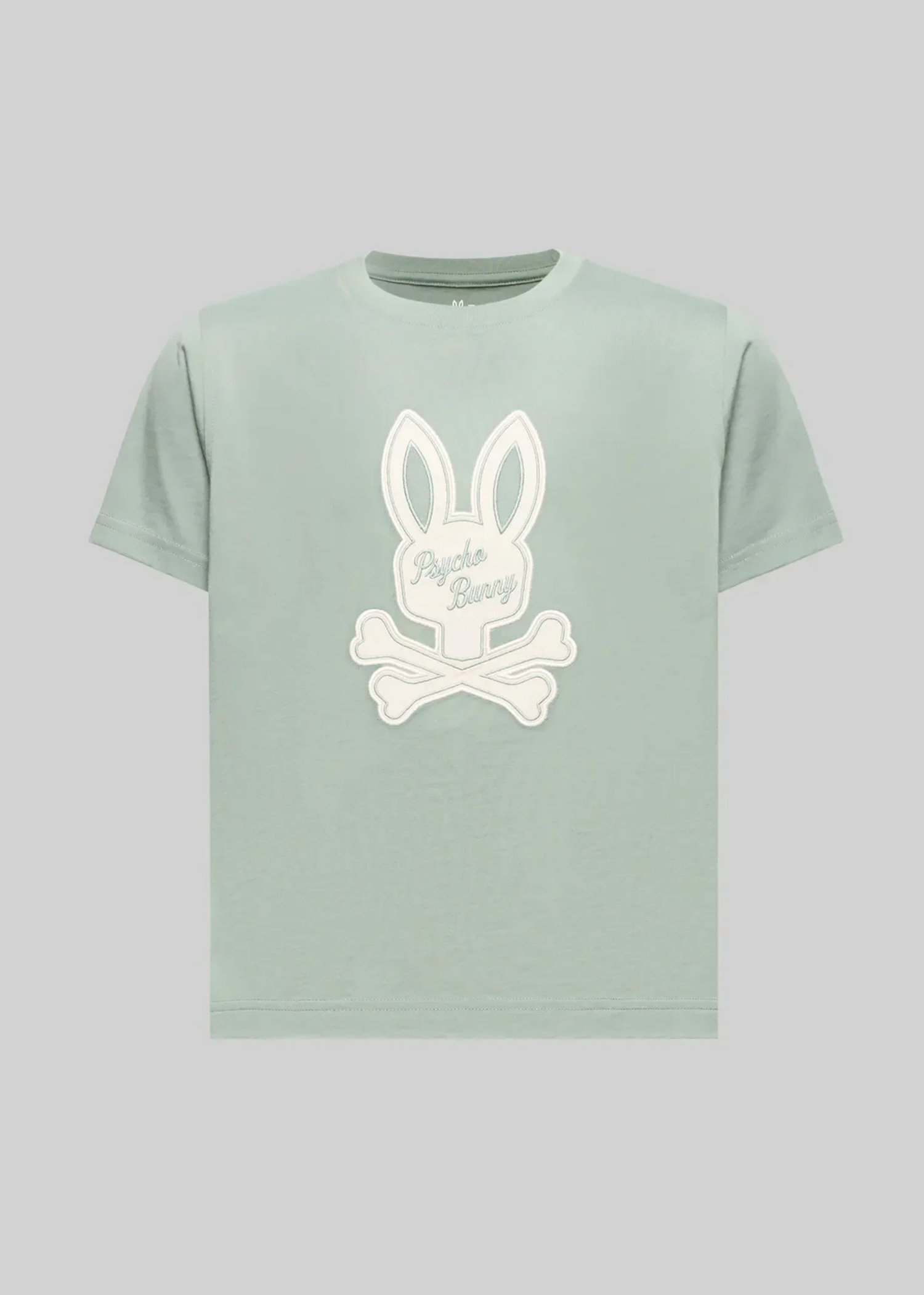 Camiseta Derek Algodón Verde Hielo