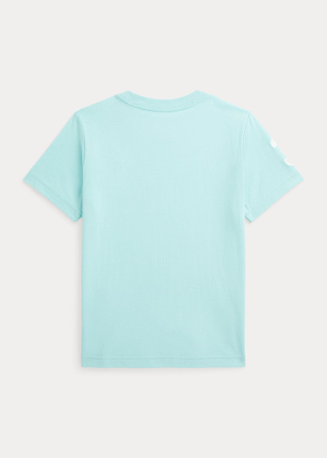 Camiseta Algodón Big Pony Bordada Azul Cielo