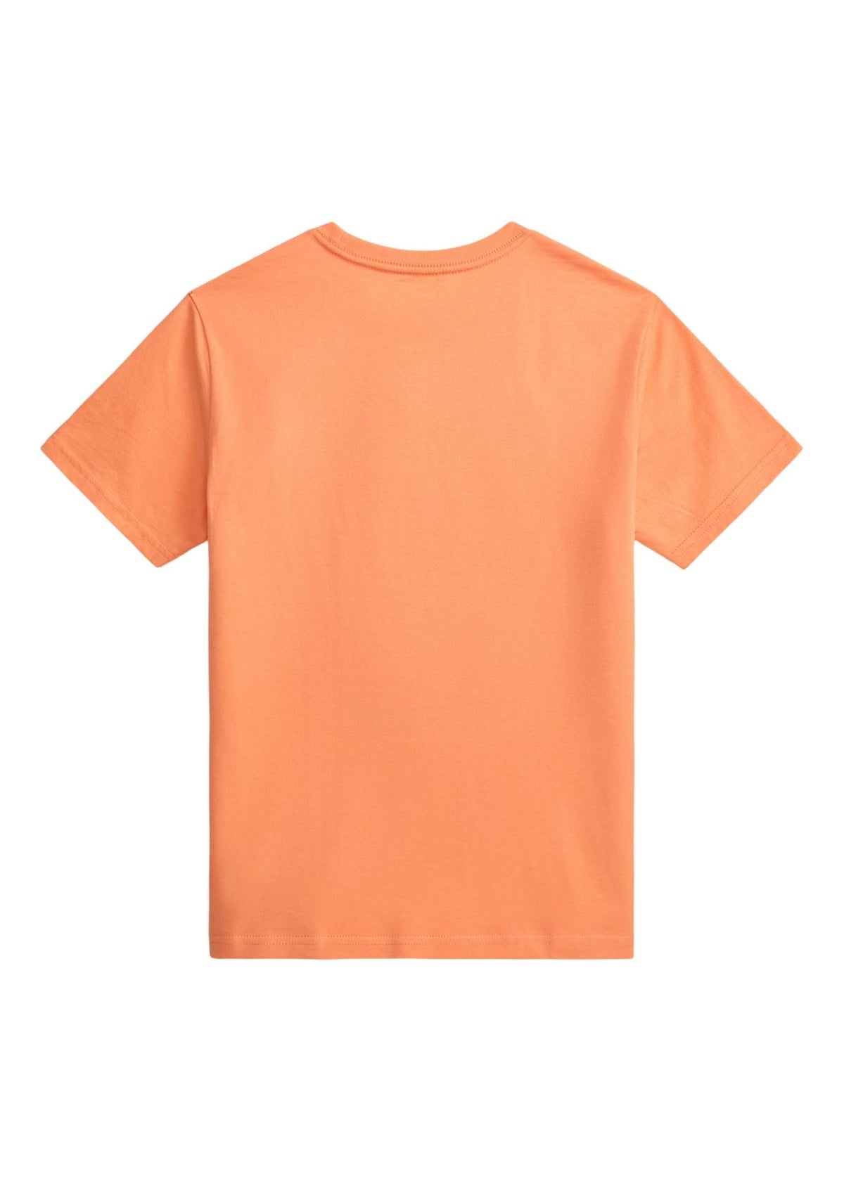 Camiseta Polo Bear Surfer Poppy