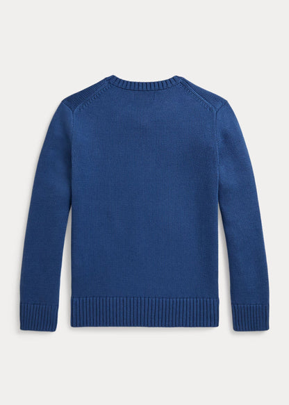 Sweater Tejido Polo Bear Azul Old Royal