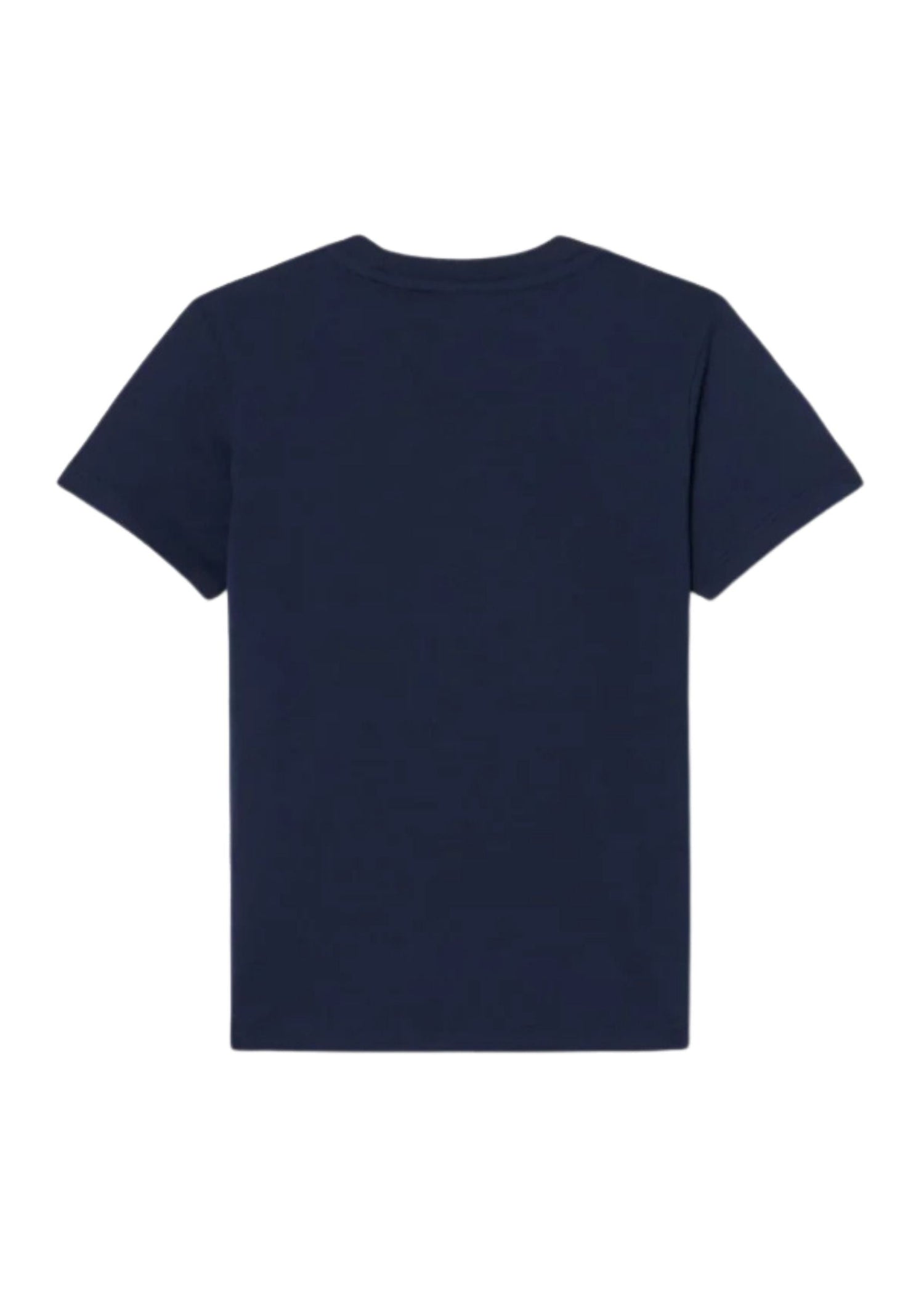 Camiseta Lacoste Azul Minimalista