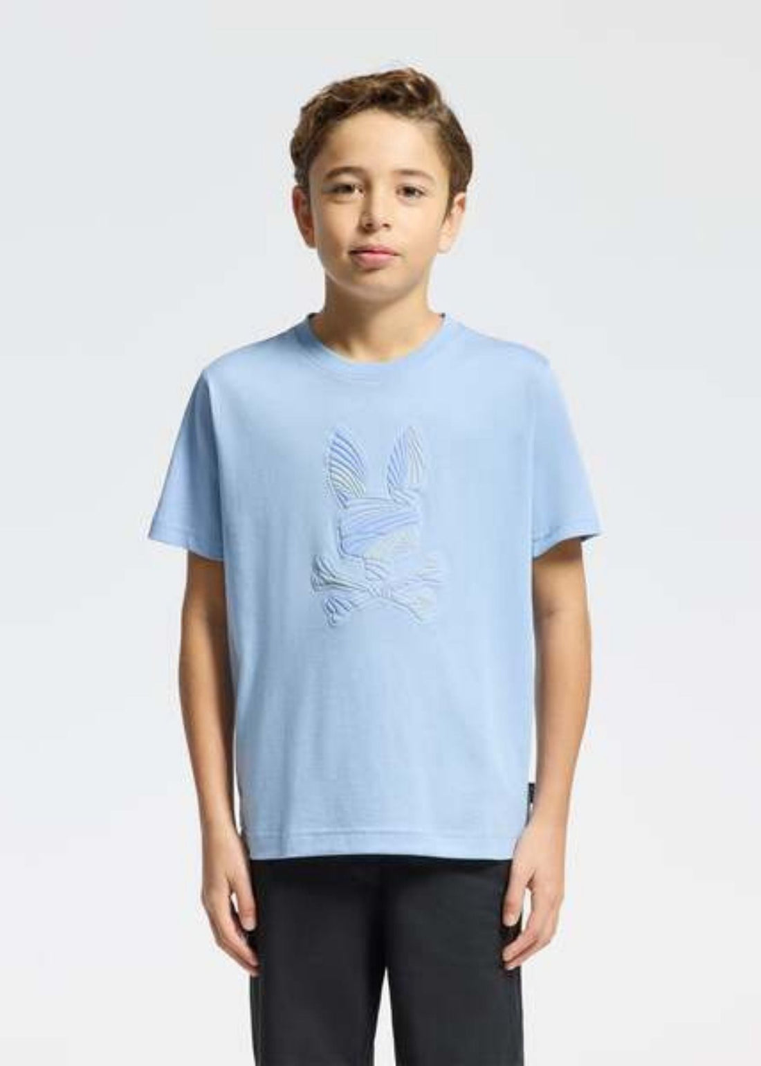Camiseta Grafica Baxter Algodón Azul Claro