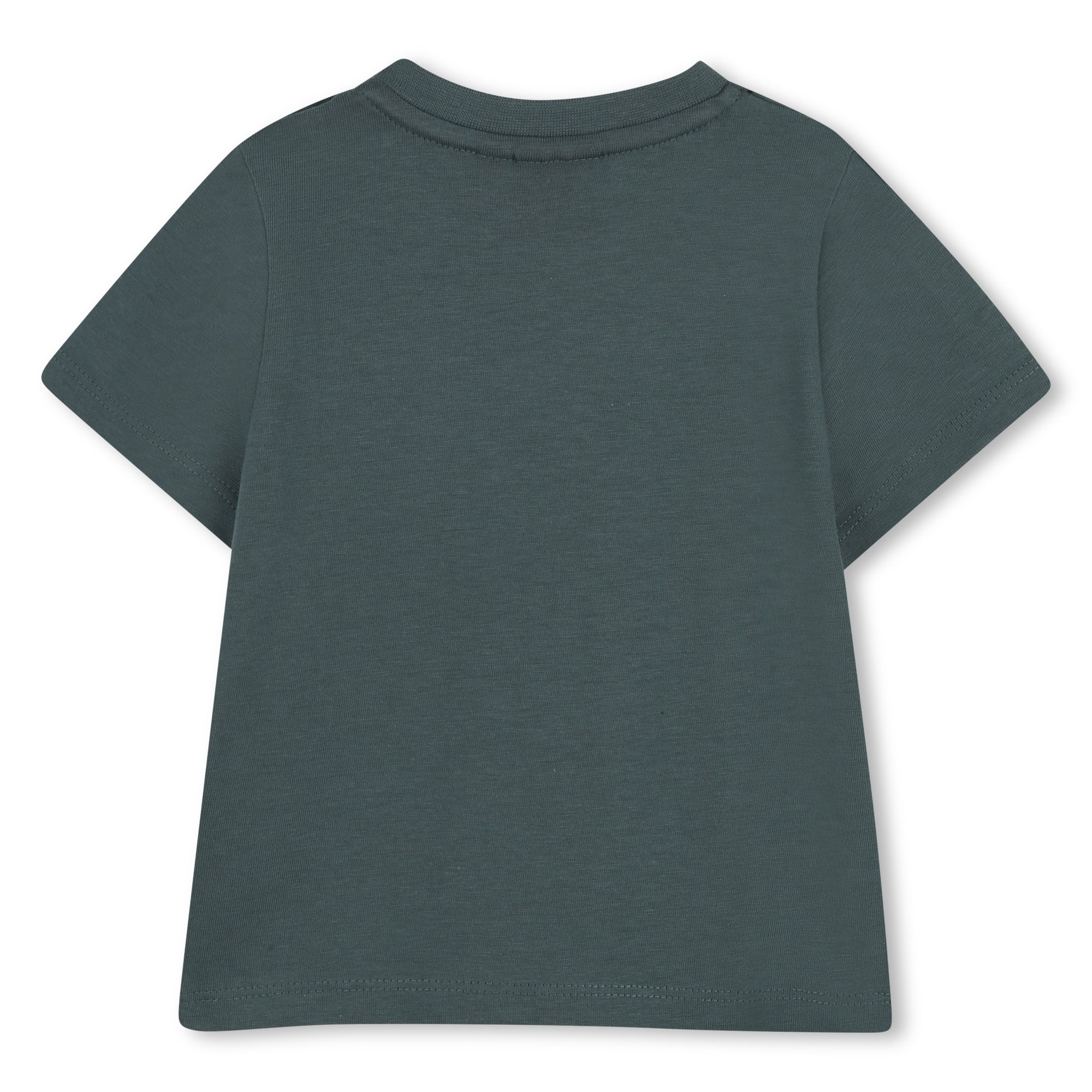 Camiseta Gráfico Raised Verde