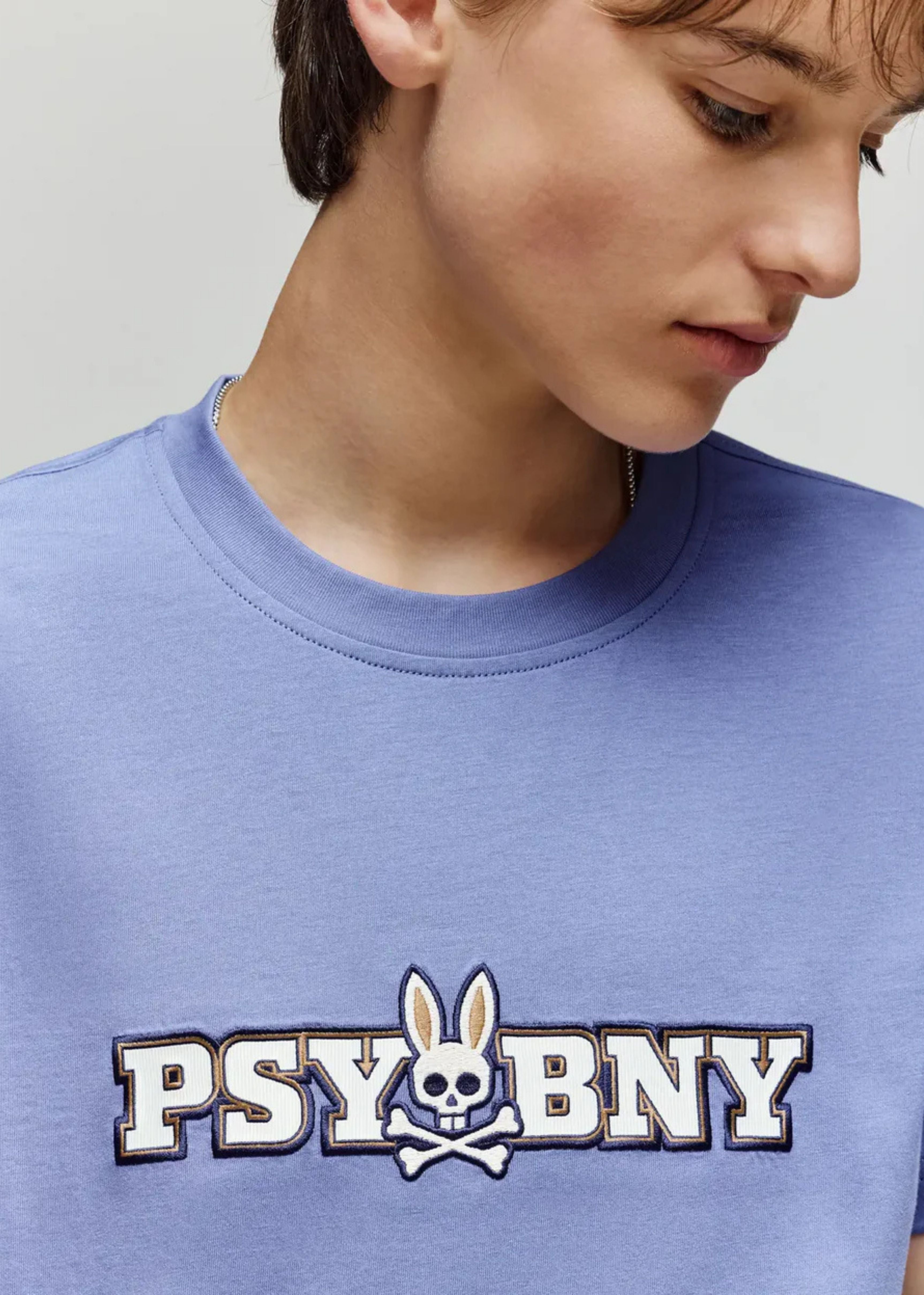 Camiseta Wade Algodón Bordada Azul Hielo